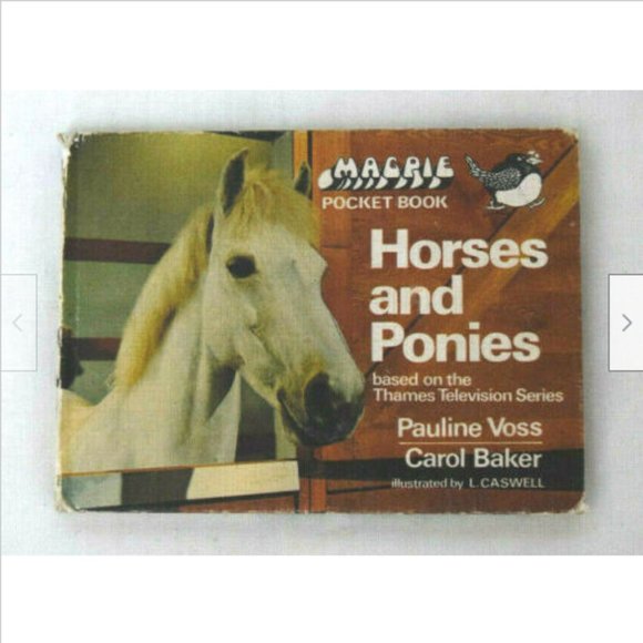 Horses and Ponies Magpie Pocket Hardcover Book Pauline Voss Carol Baker 1969 - Picture 7 of 7